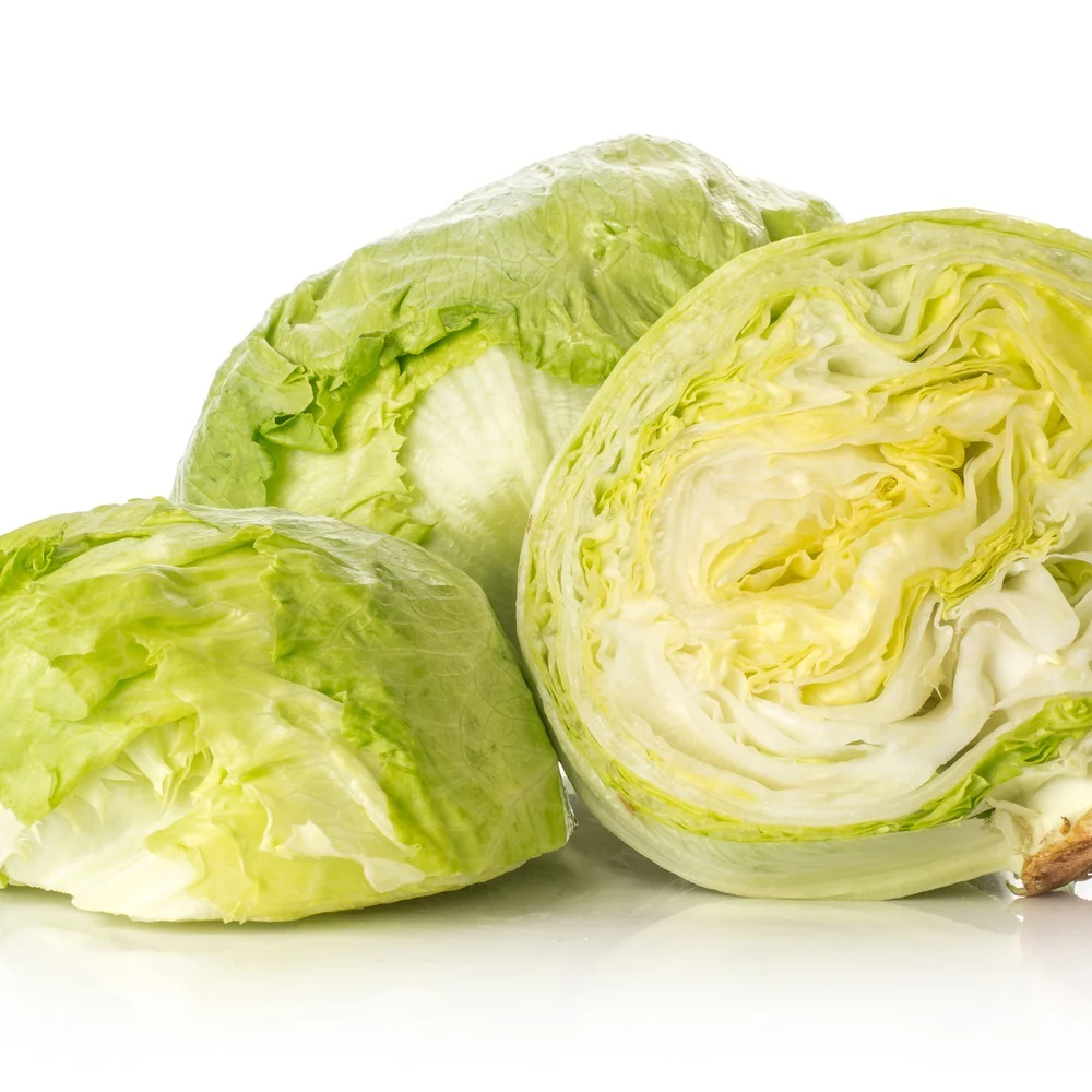 Great Lakes 118 Crisphead Lettuce Seeds - Image 4