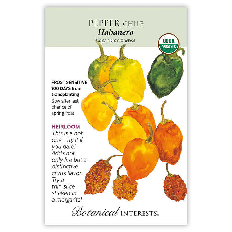 Habanero Chile Pepper Seeds - Image 3