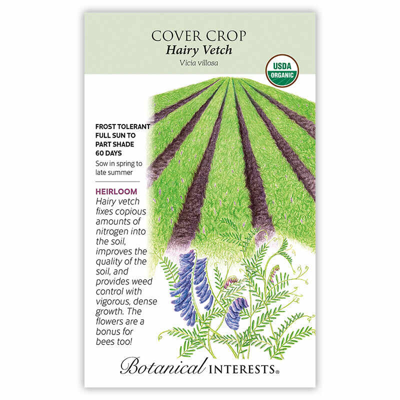 Hairy Vetch Cover Crop Seeds - Image 3
