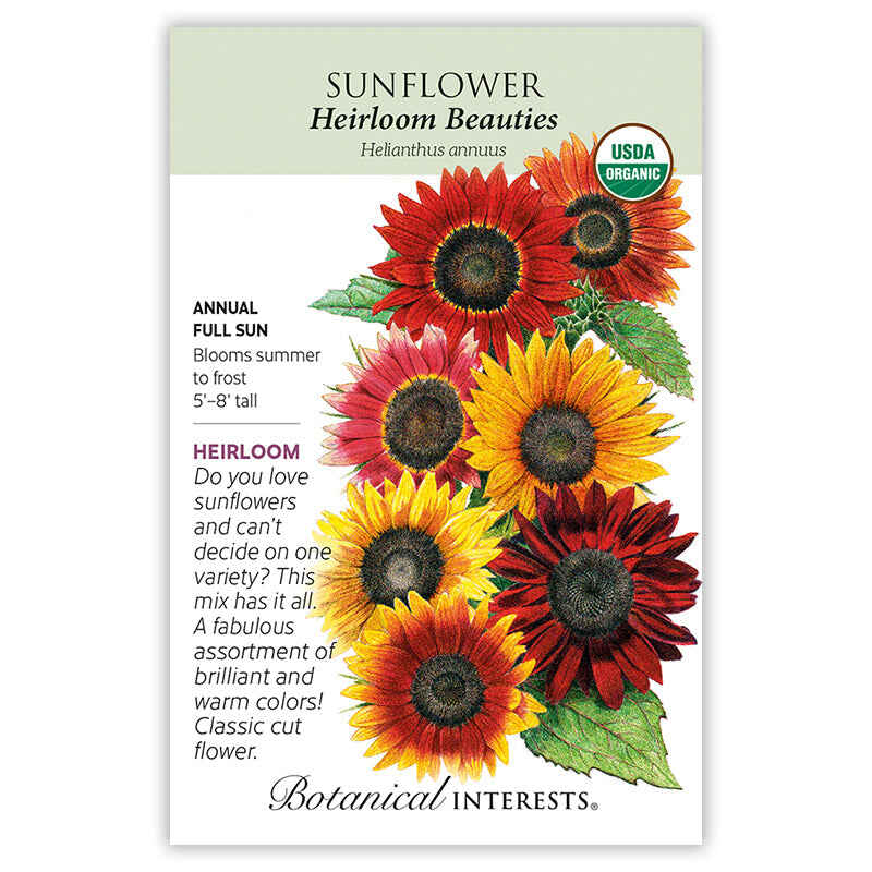 Heirloom Beauties Sunflower Seeds - Image 3