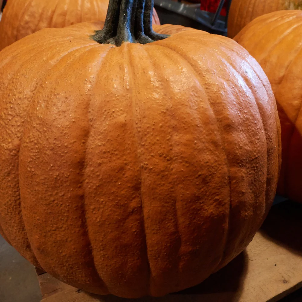 Howden Pumpkin Seeds - Image 4