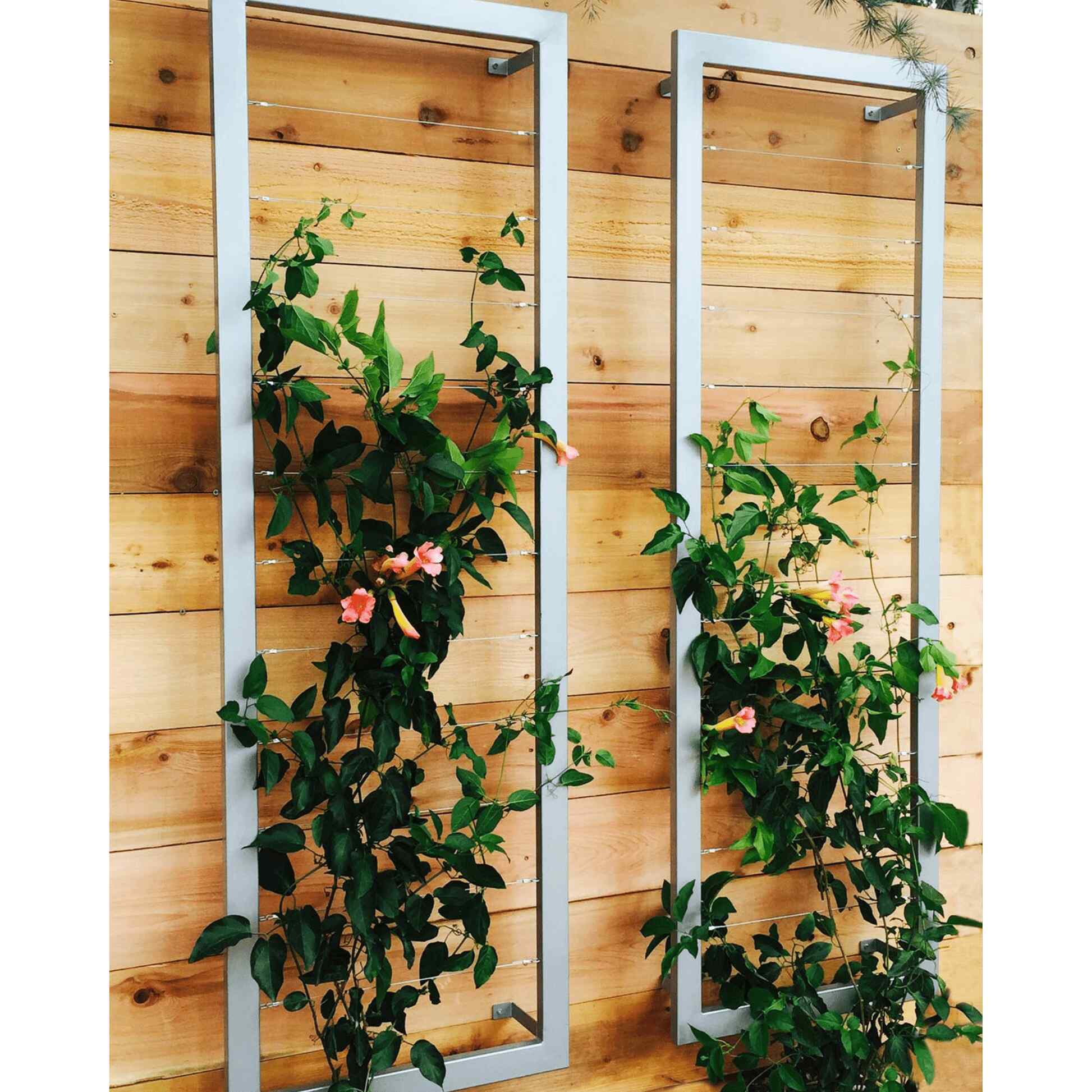 Ina Wall Trellis Large - Image 2