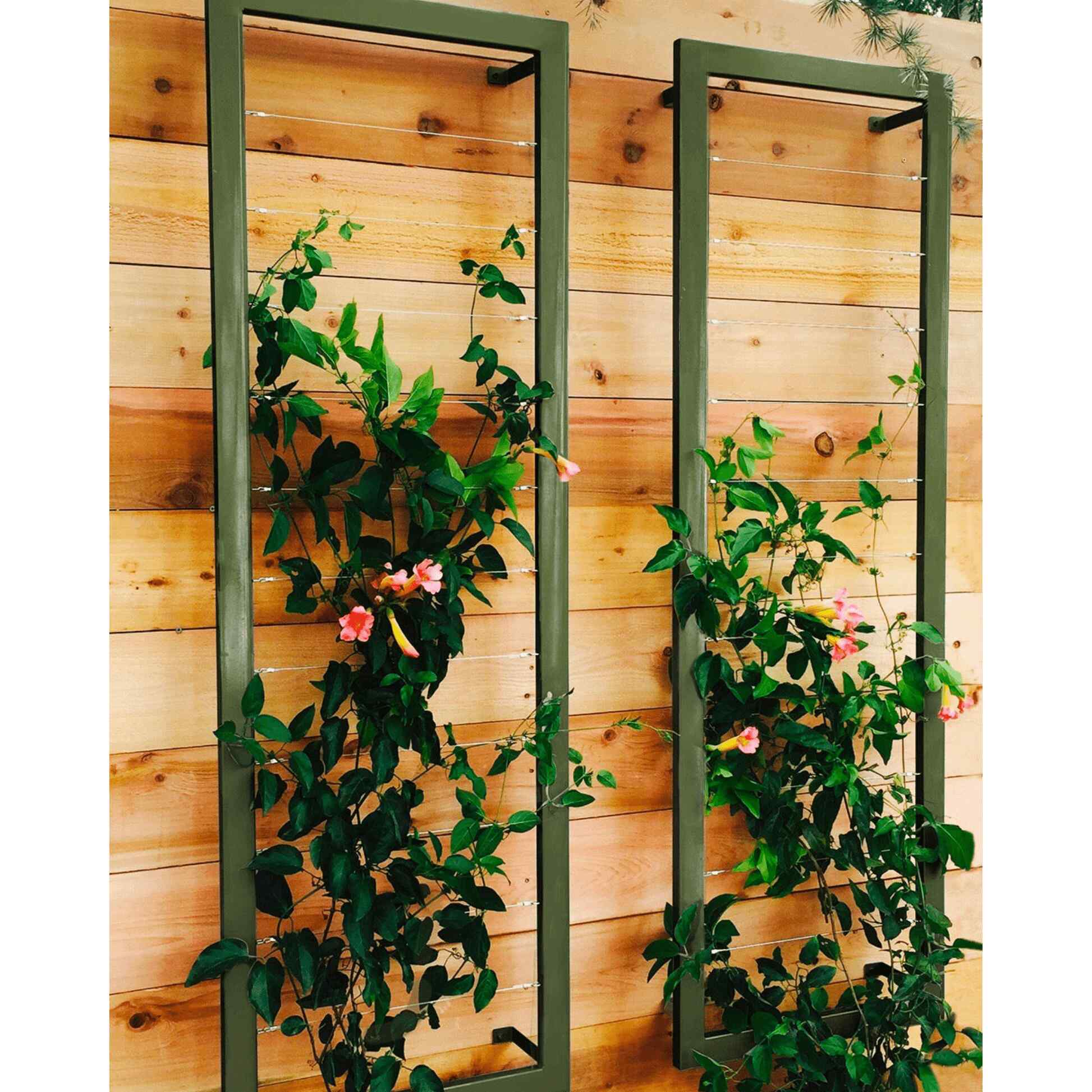 Ina Wall Trellis Large - Image 3