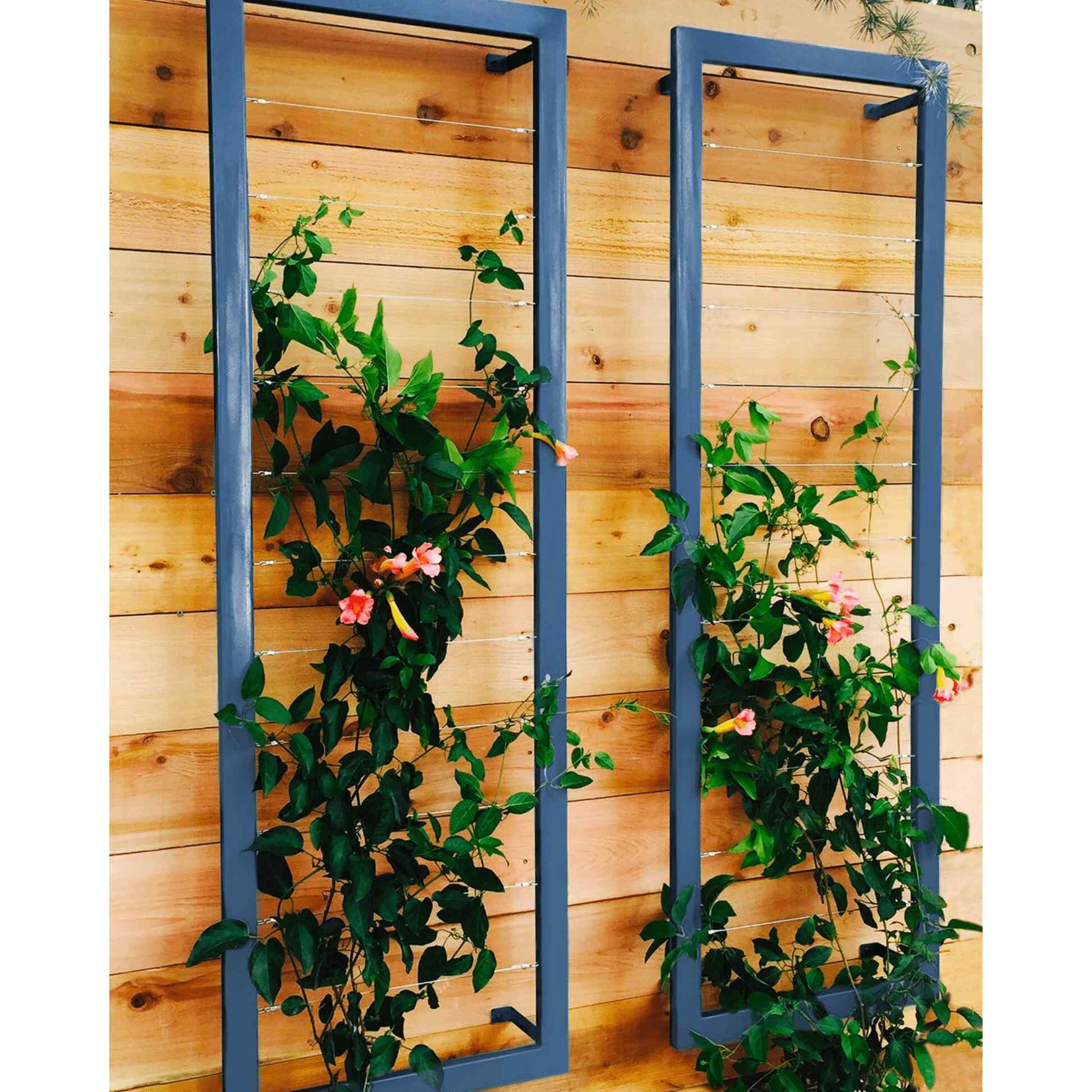 Ina Wall Trellis Large - Image 4