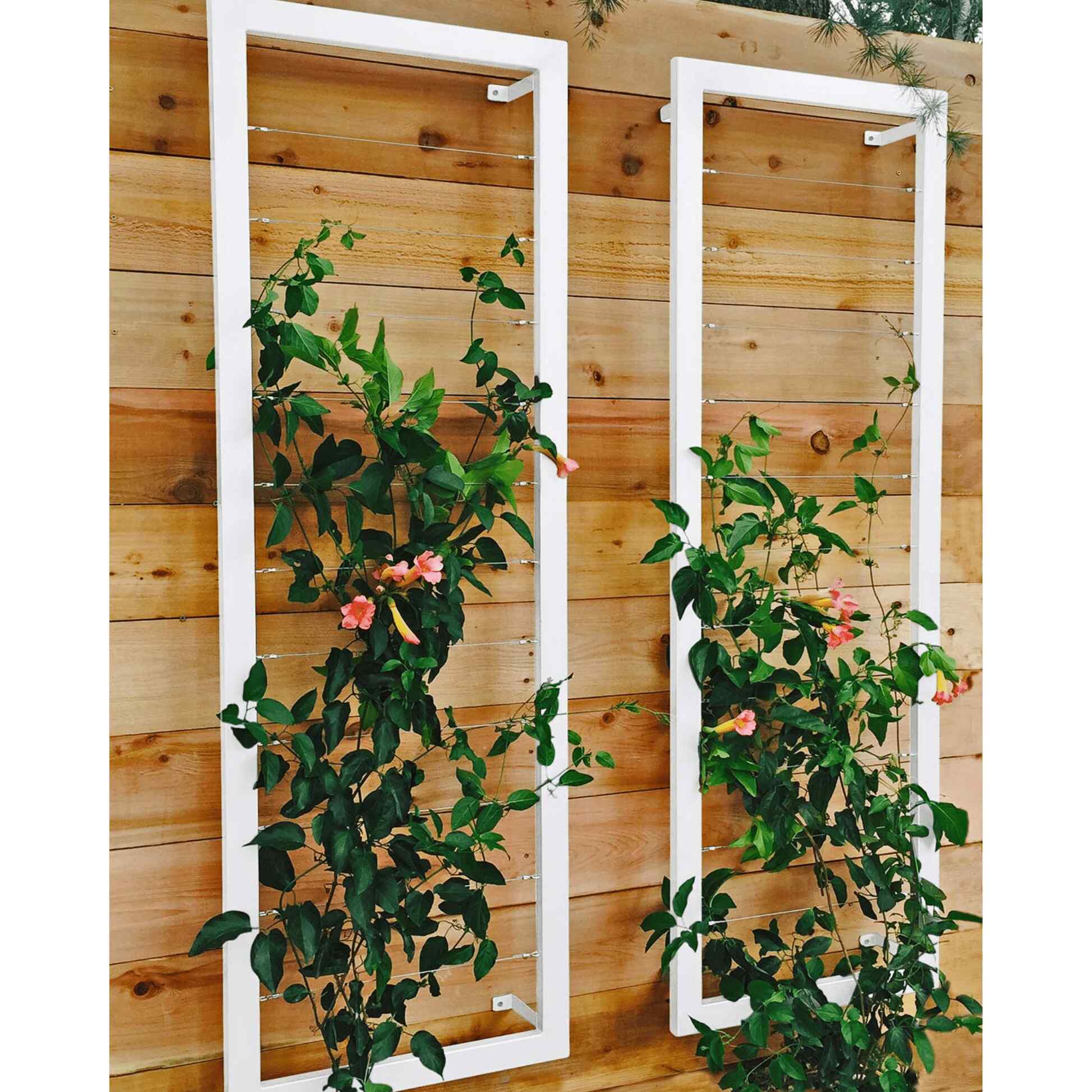 Ina Wall Trellis Large - Image 6