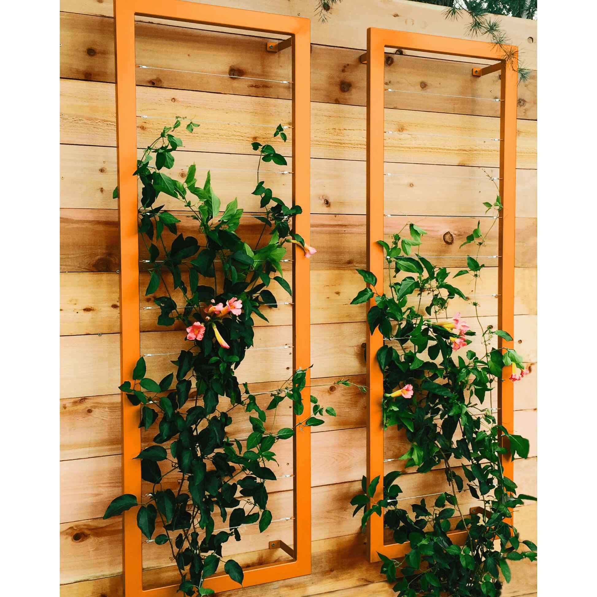 Ina Wall Trellis Large - Image 7