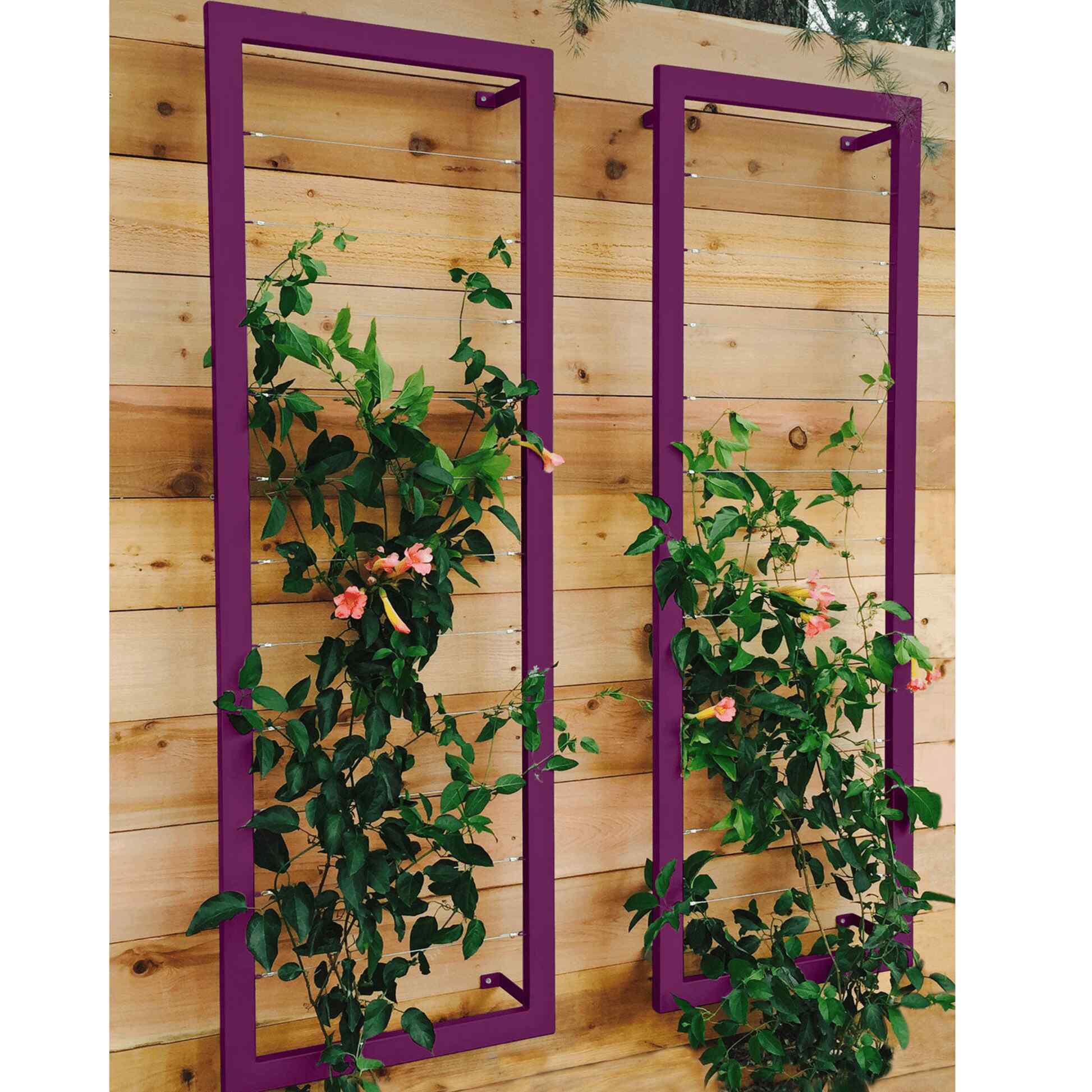 Ina Wall Trellis Large - Image 9