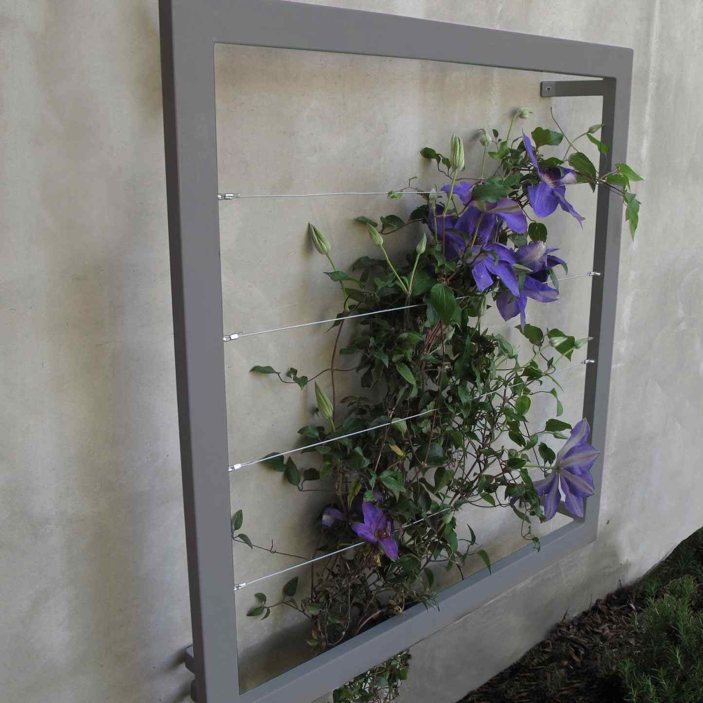 Ina Wall Trellis Regular - Image 4