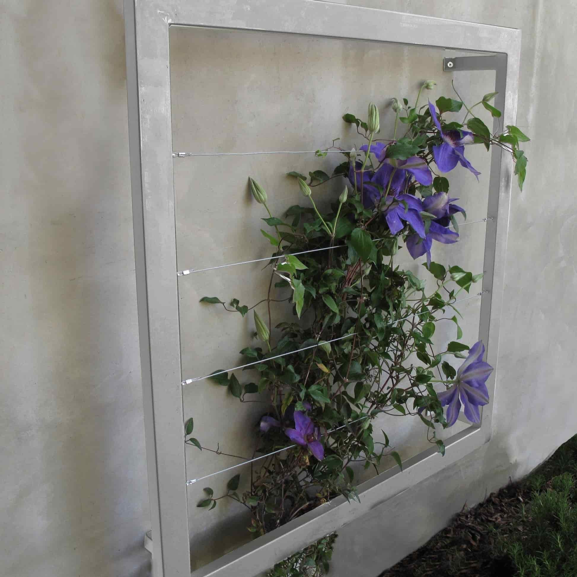 Ina Wall Trellis Regular - Image 6