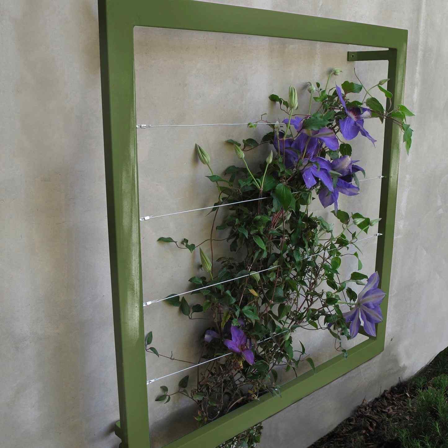 Ina Wall Trellis Regular - Image 9