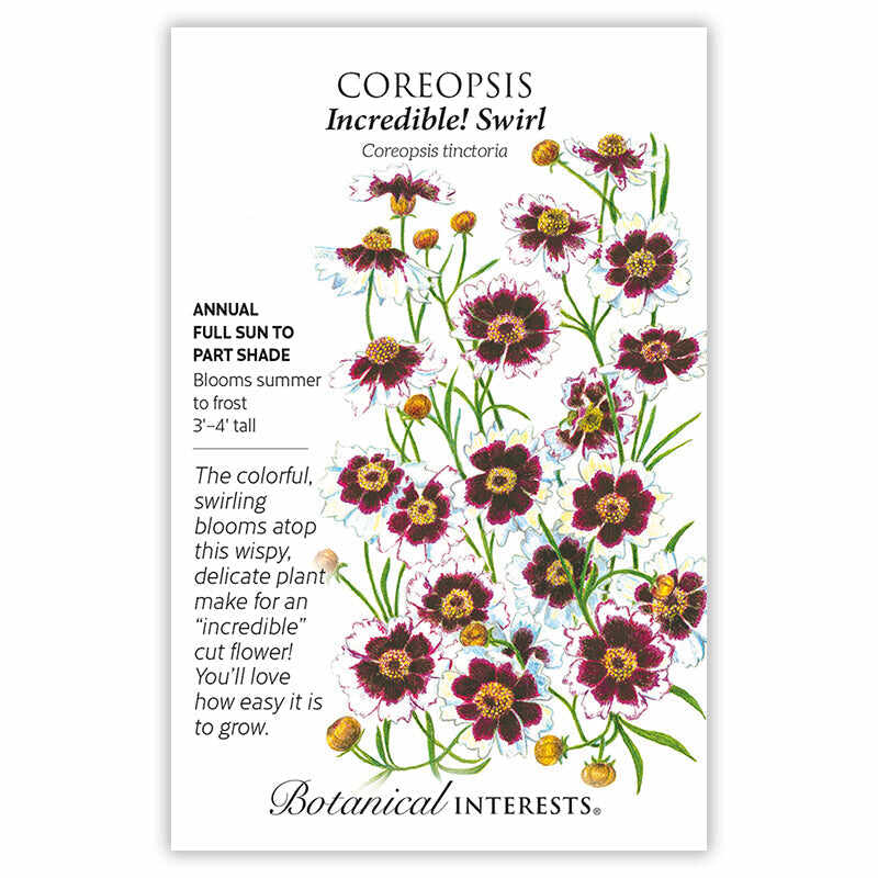 Incredible! Swirl Coreopsis Seeds - Image 3