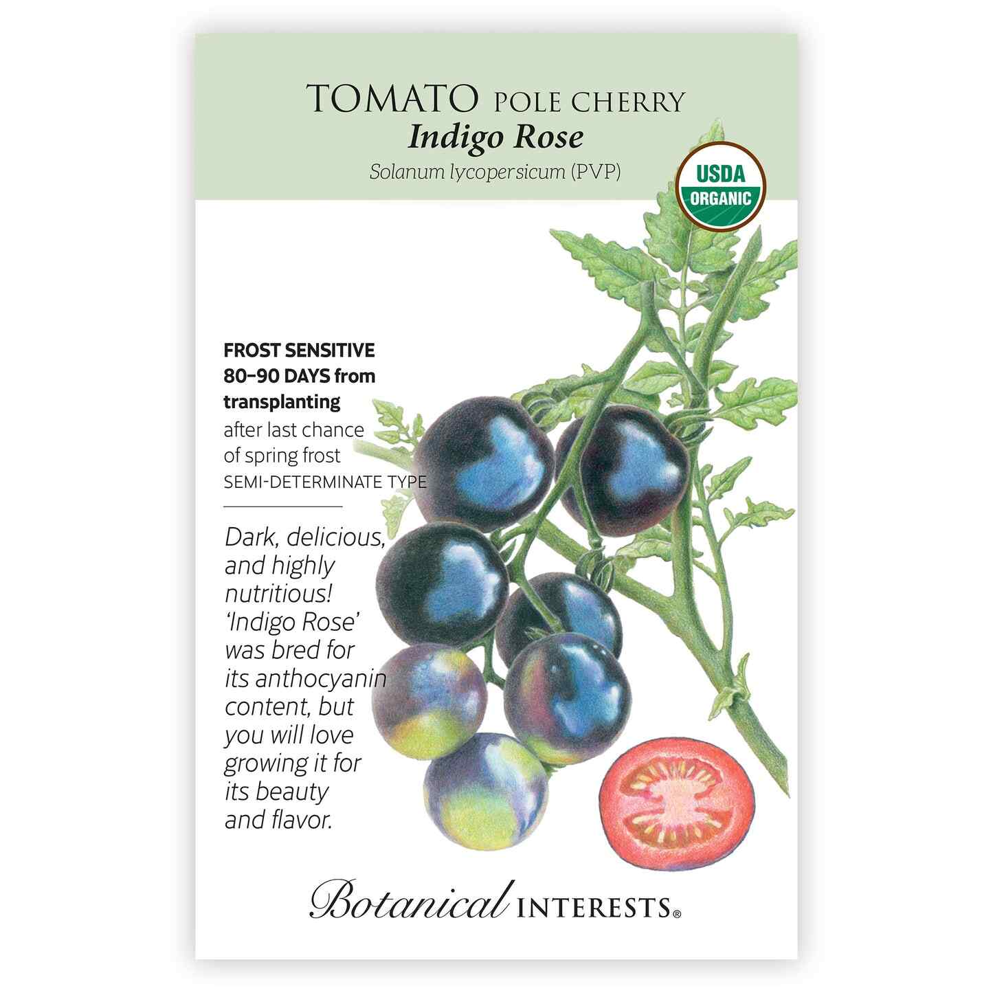 Indigo Rose Pole Cherry Tomato Seeds - Image 3