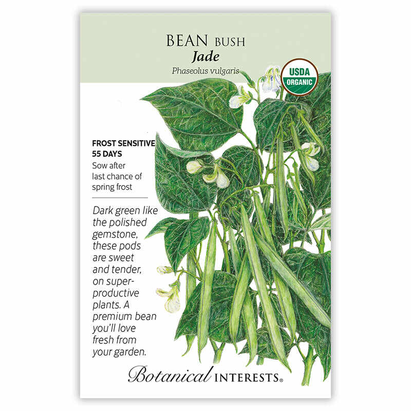 Jade Bush Bean Seeds - Image 3