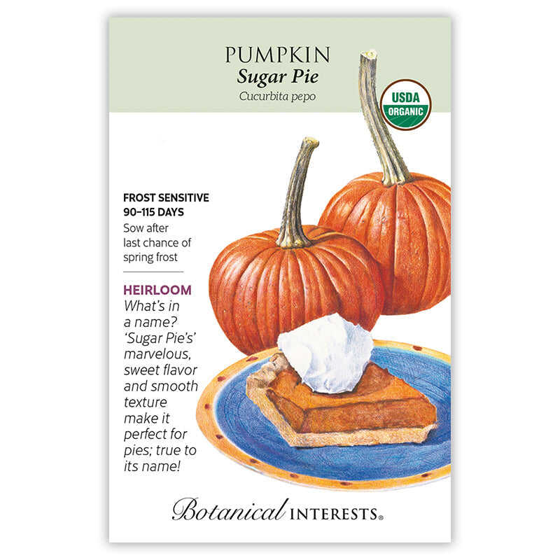 Sugar Pie Pumpkin Seeds - Image 3