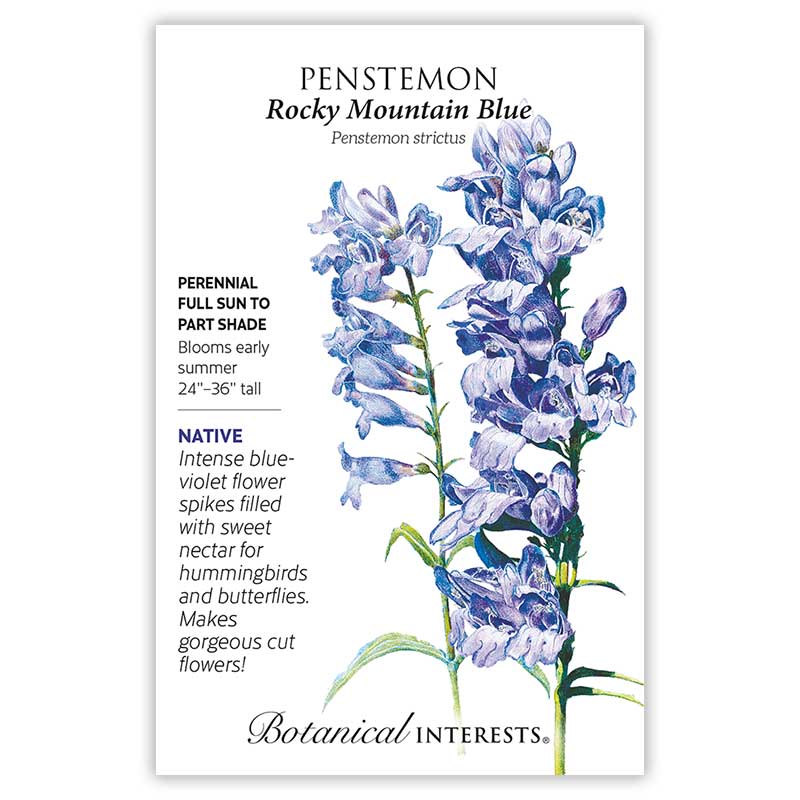 Rocky Mountain Blue Penstemon Seeds - Image 3