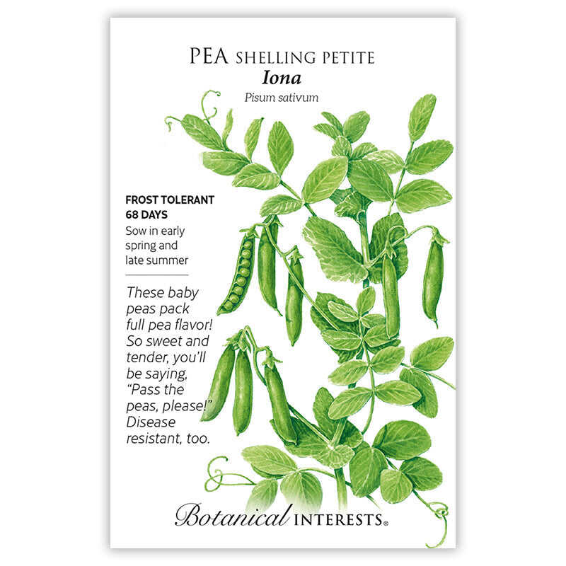 Iona Shelling Petite Pea Seeds - Image 3
