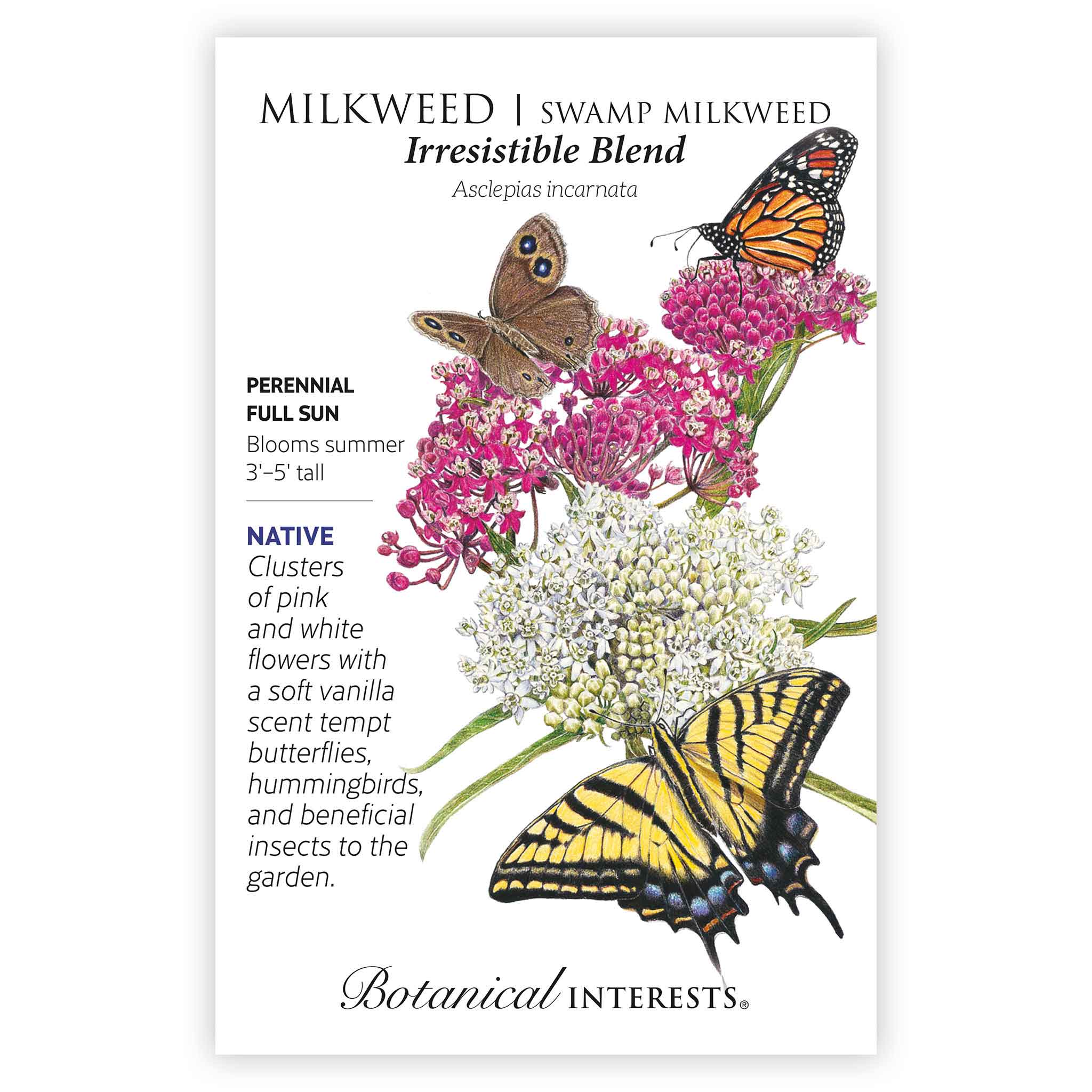 Irresistible Blend Milkweed/Butterfly Flower Seeds - Image 3