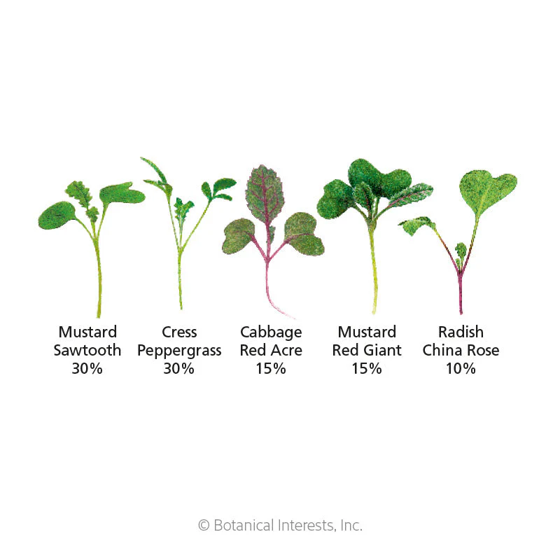 Jazzy Mix Microgreens Seeds - Image 2