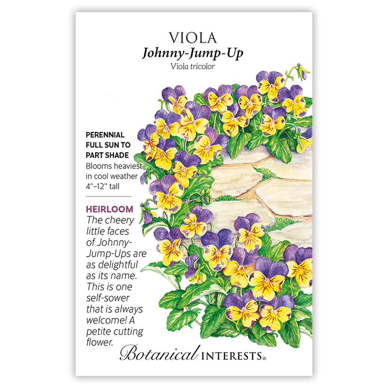 Johnny-Jump-Up Viola Seeds - Image 3