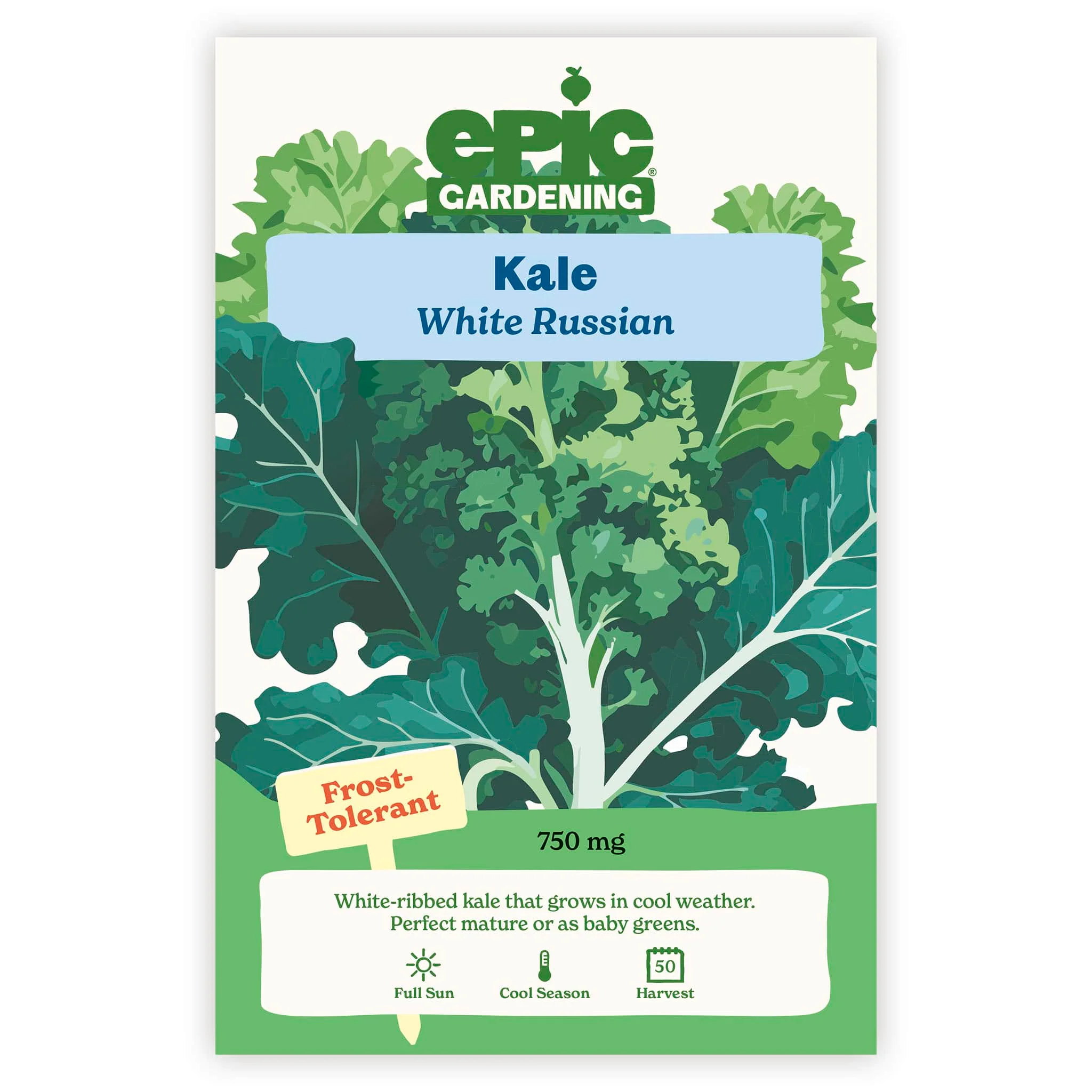 White Russian Kale - Image 2