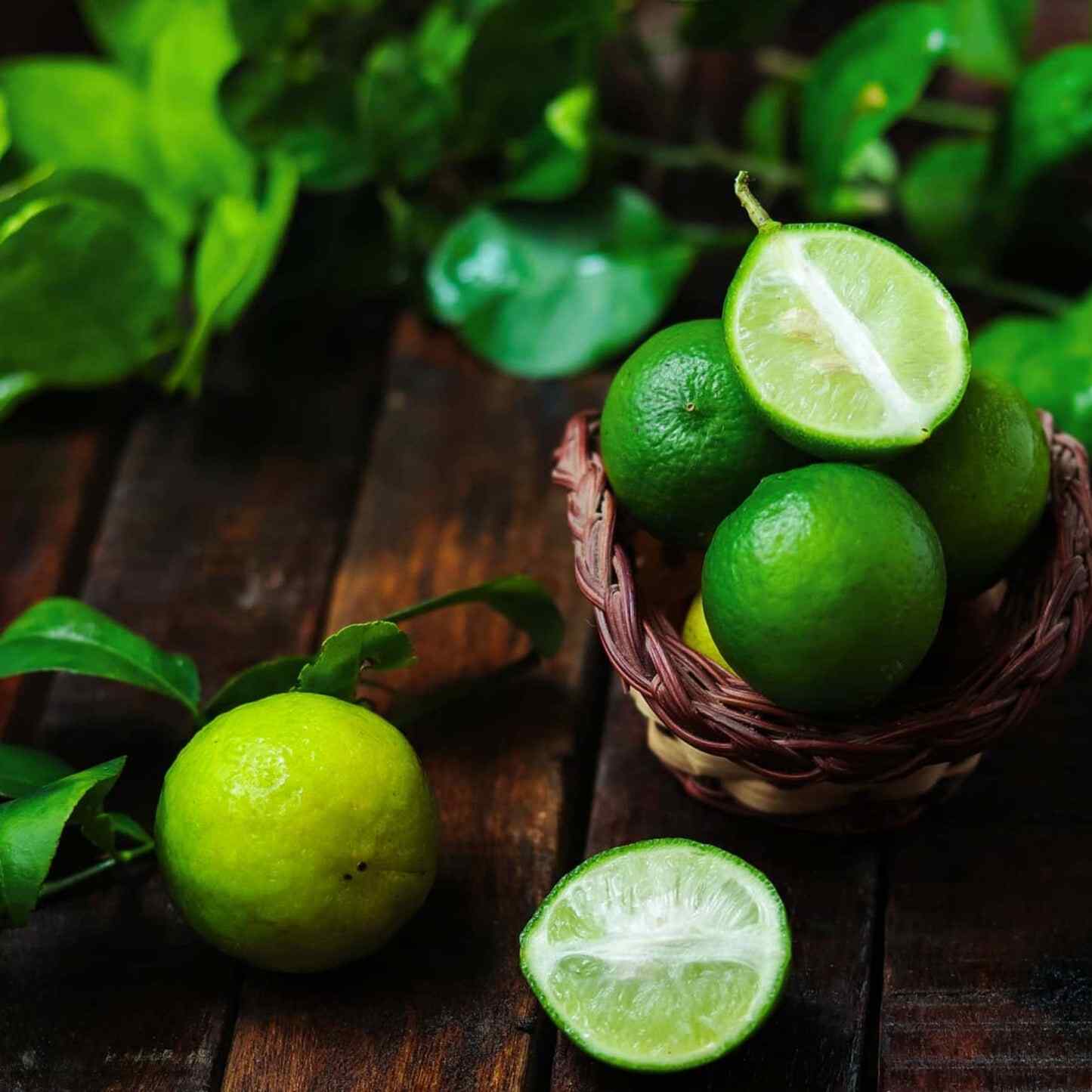 Key Lime Bush - Image 2