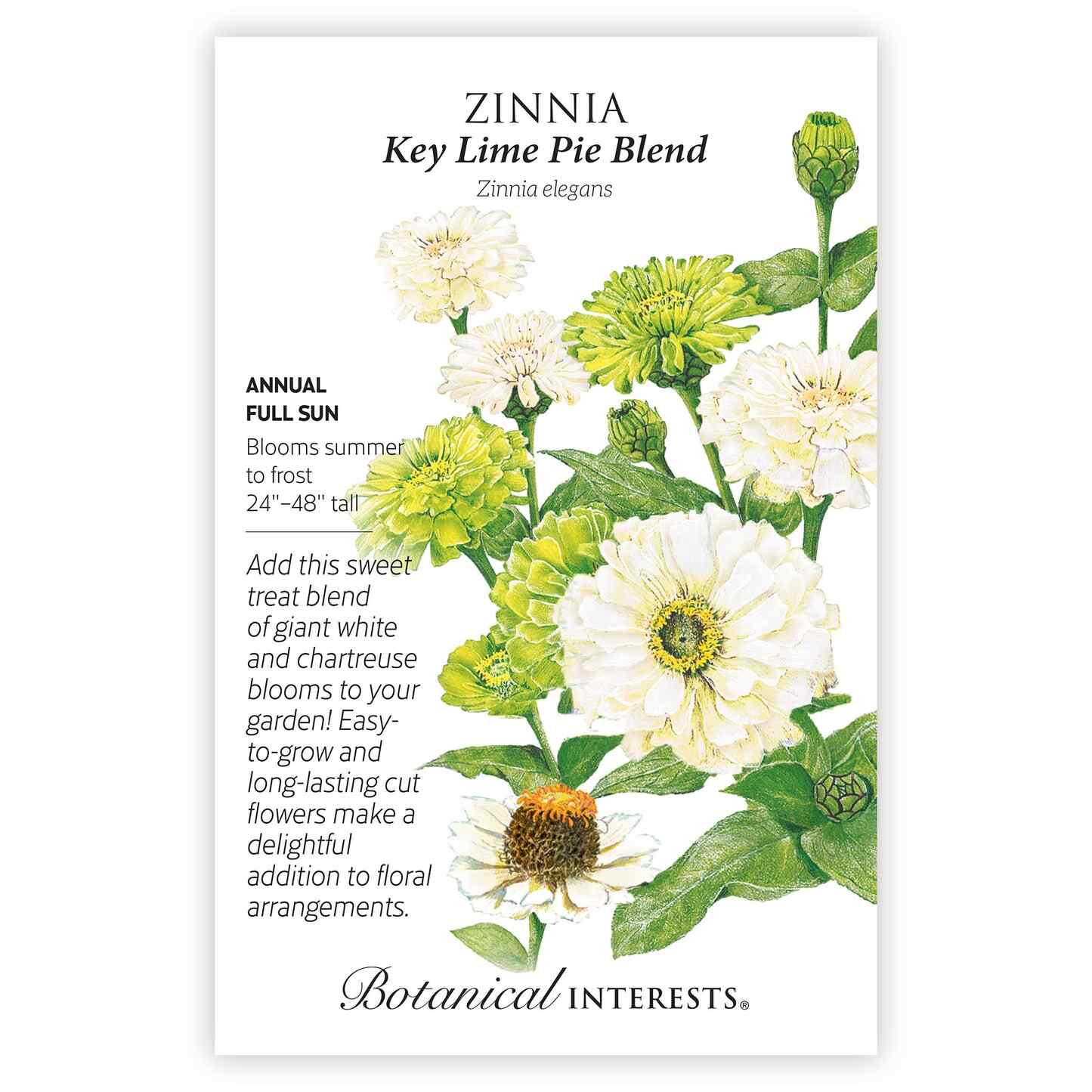 Key Lime Pie Blend Zinnia Seeds - Image 3