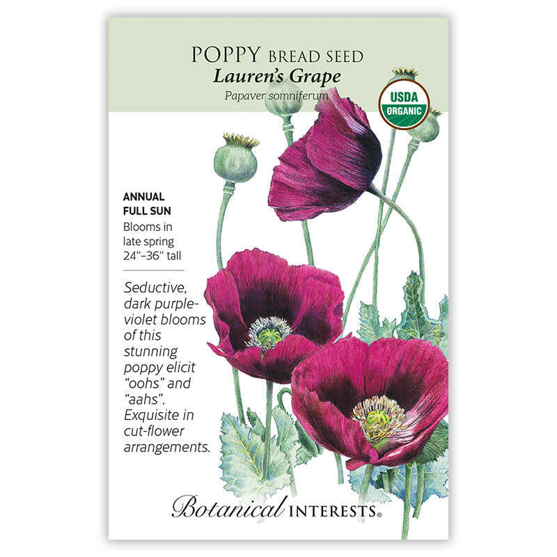 Lauren's Grape Bread Seed Poppy Seeds - Image 3