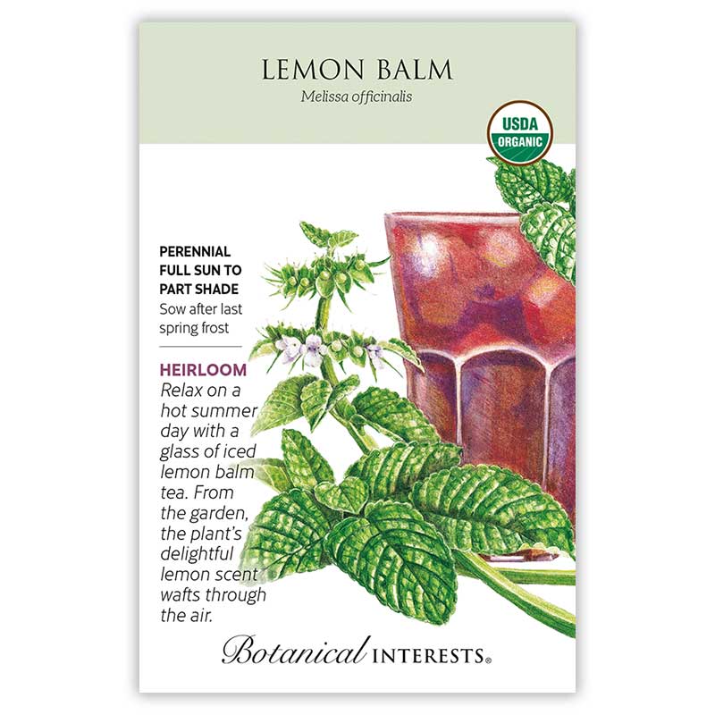 Lemon Balm Seeds - Image 3
