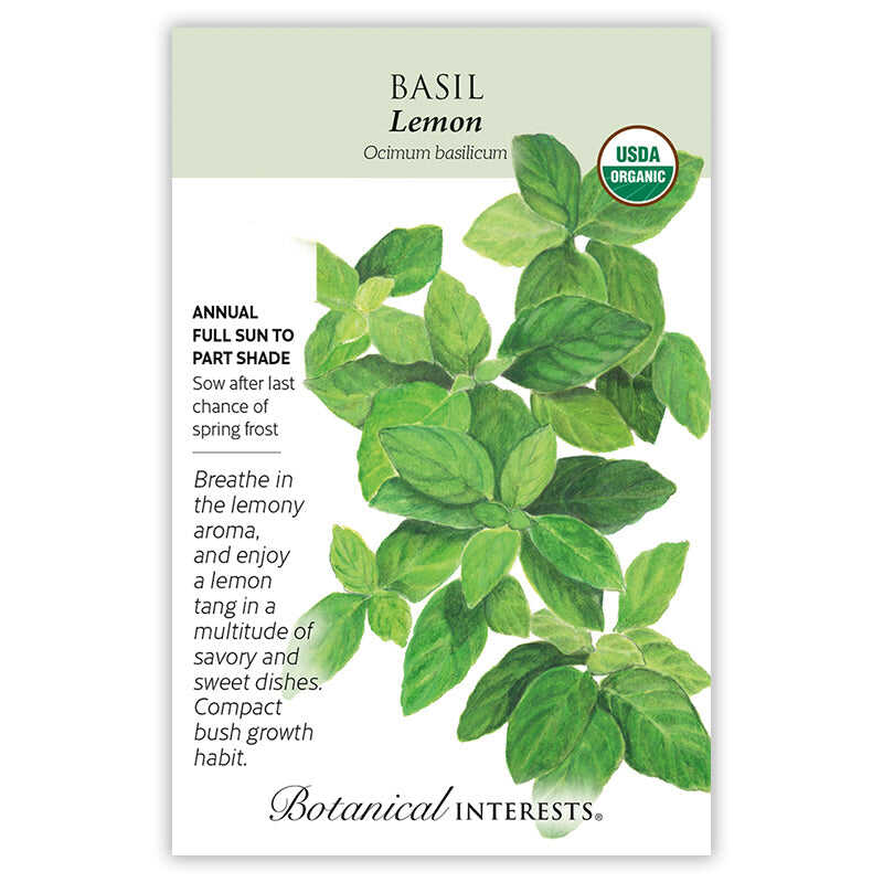 Lemon Basil Seeds - Image 3