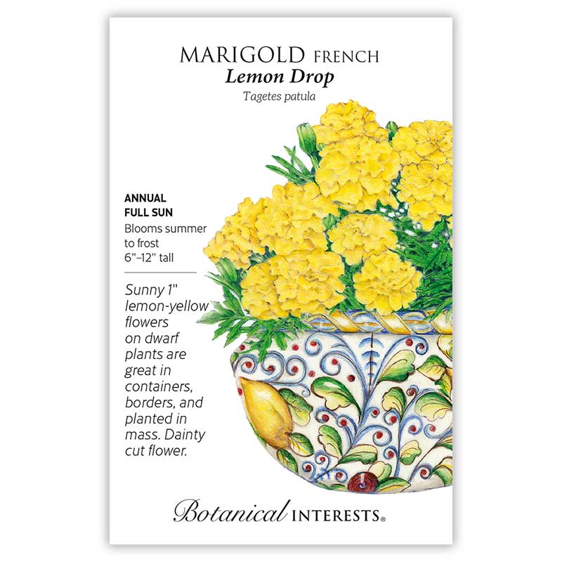 Lemon Drop French Marigold Seeds - Image 3