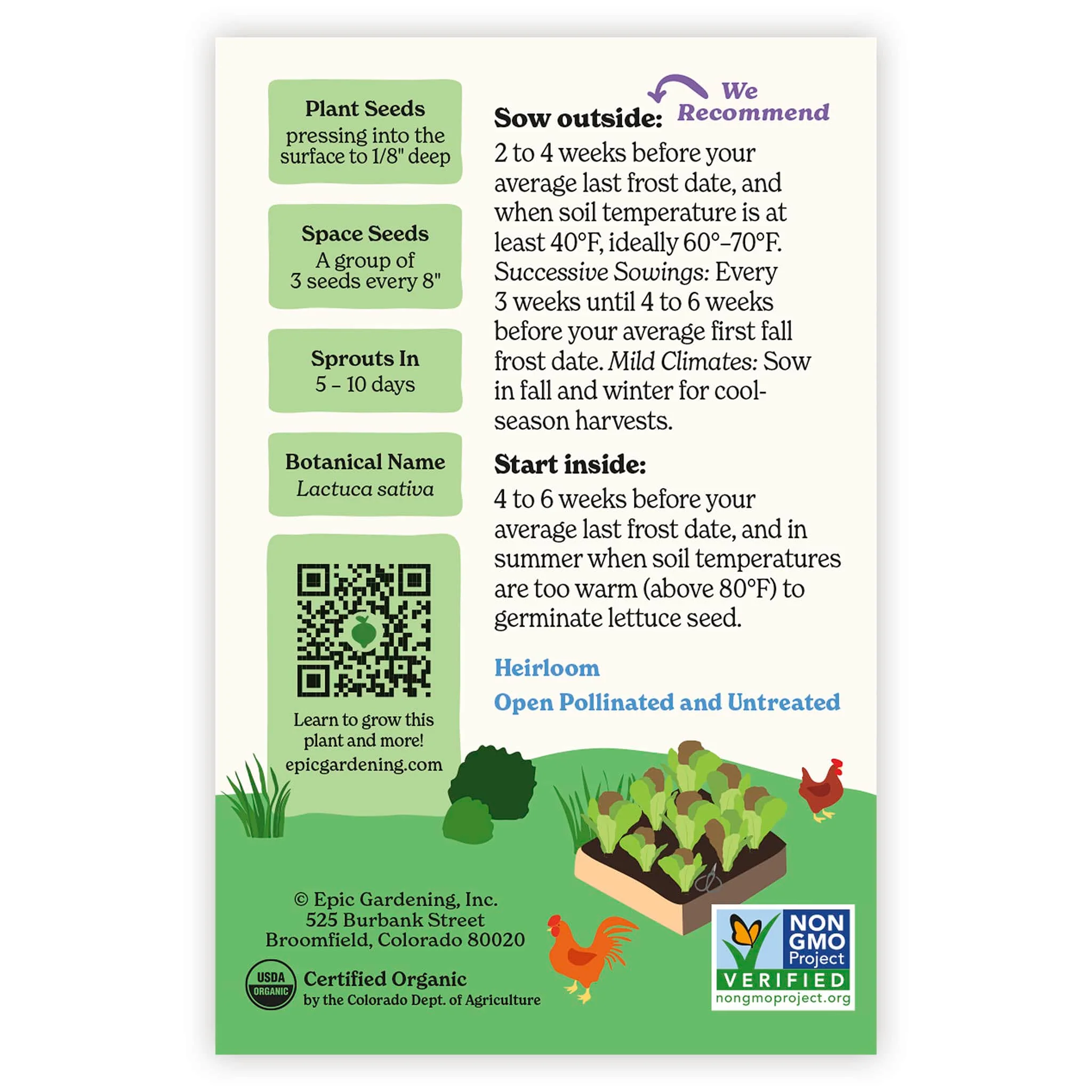 Prizehead Leaf Lettuce - Image 3