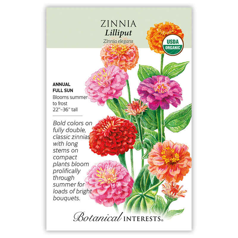 Lilliput Zinnia Seeds - Image 3