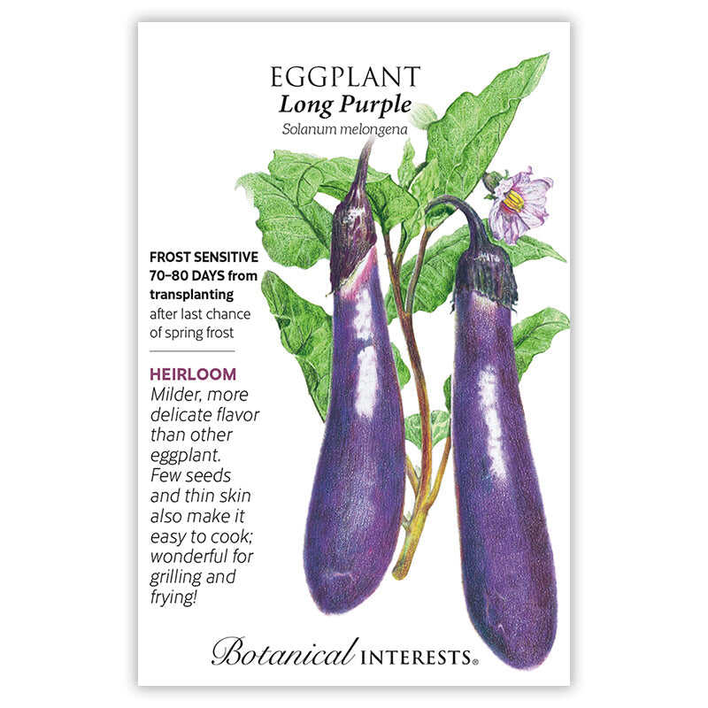 Long Purple Eggplant Seeds - Image 4