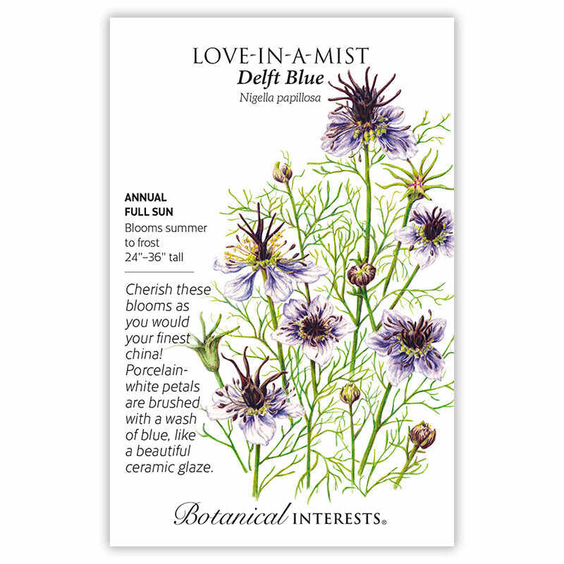 Love-In-A-Mist Delft Blue - Image 3
