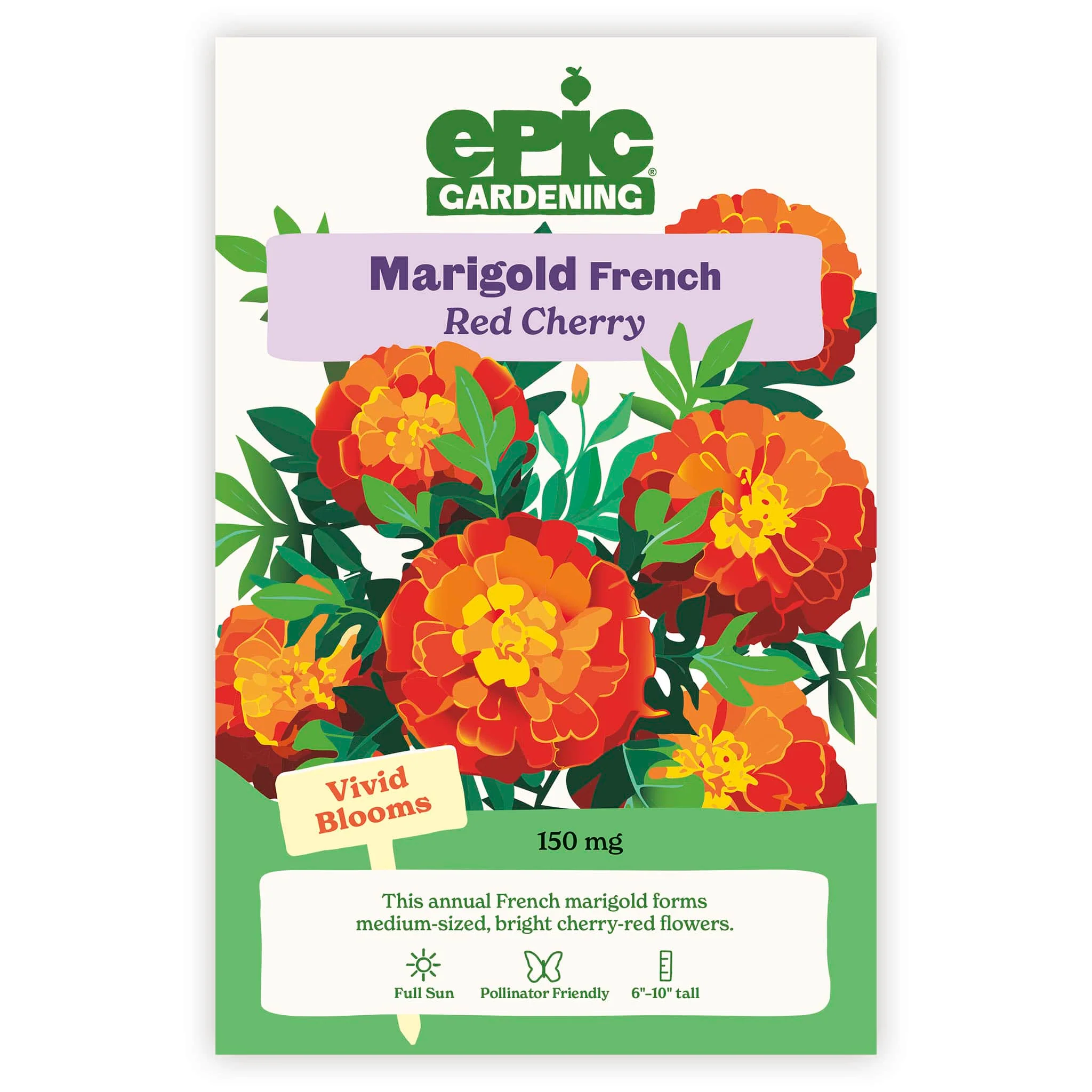 Red Cherry French Marigold - Image 2