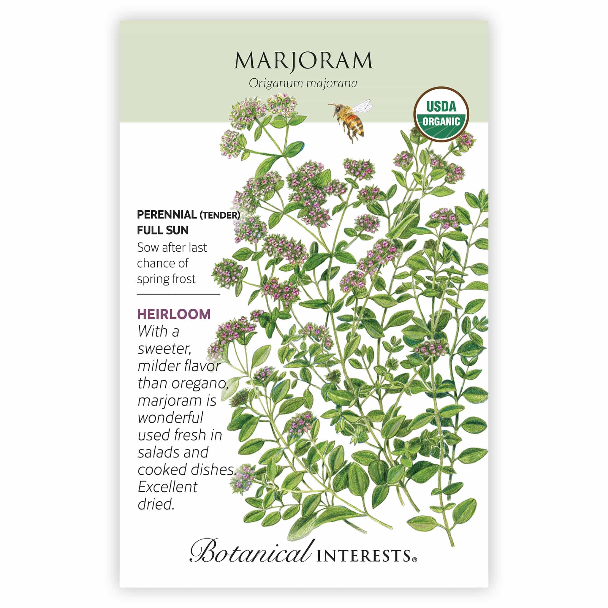 Marjoram Seeds - Image 3