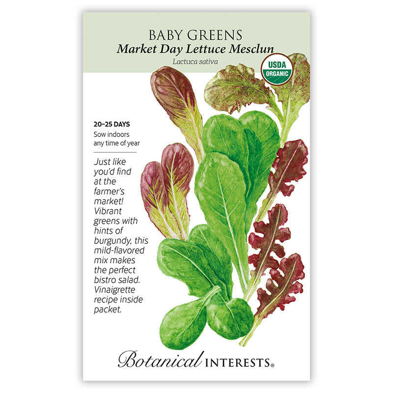 Market Day Lettuce Mesclun Baby Greens Seeds - Image 3