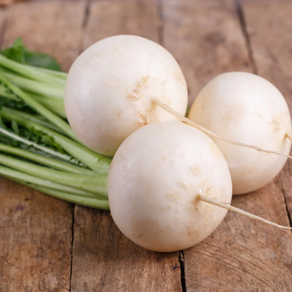 Turnip White Lady - Image 4