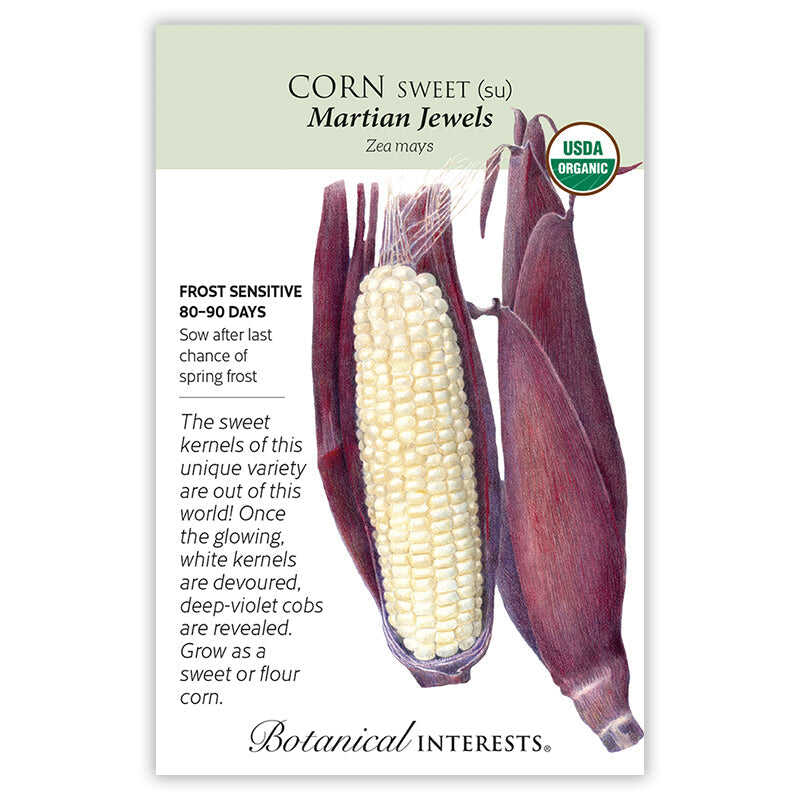 Martian Jewels Sweet Corn Seeds - Image 3