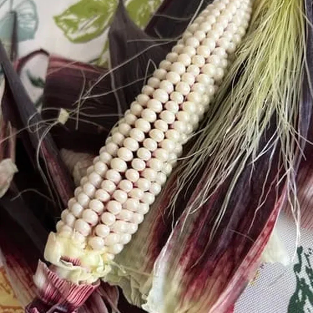 Martian Jewels Sweet Corn Seeds - Image 5