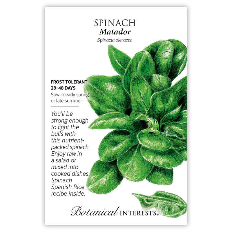 Matador Spinach Seeds - Image 3