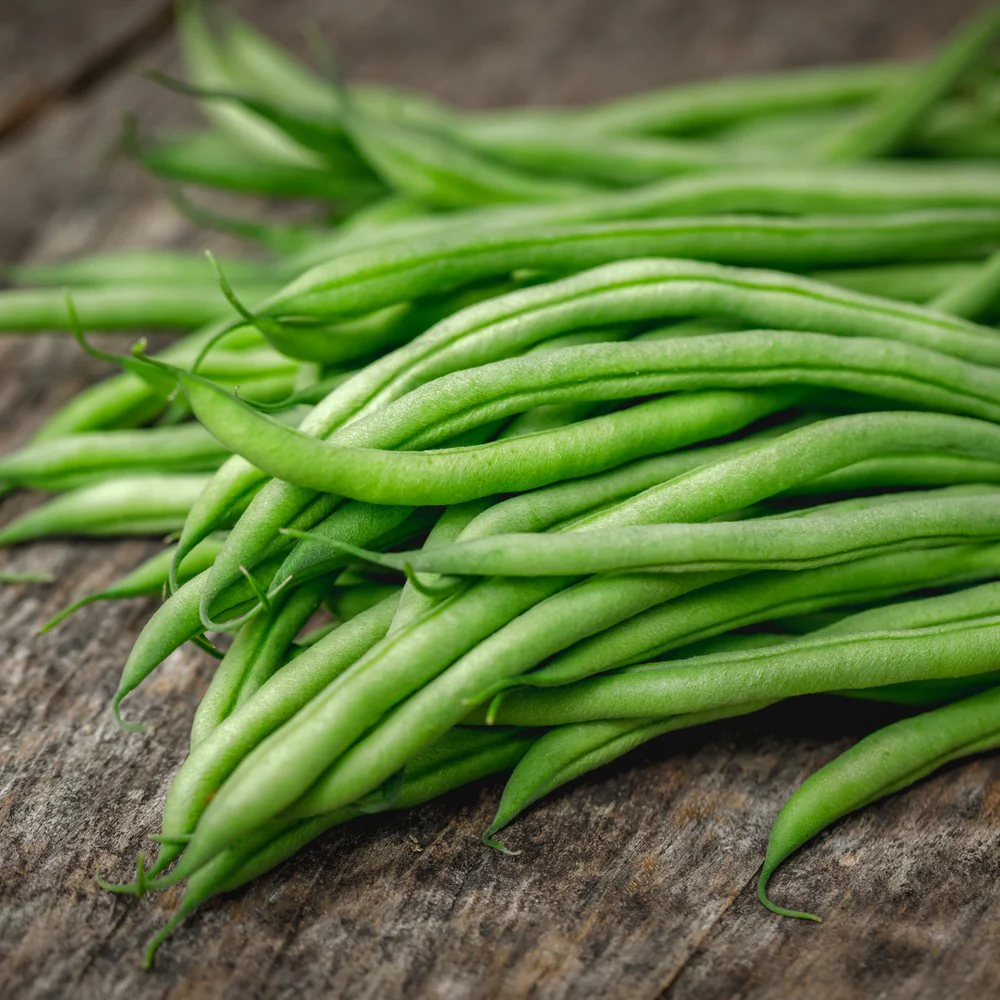 Maxibel Filet Bush Bean Seeds - Image 4