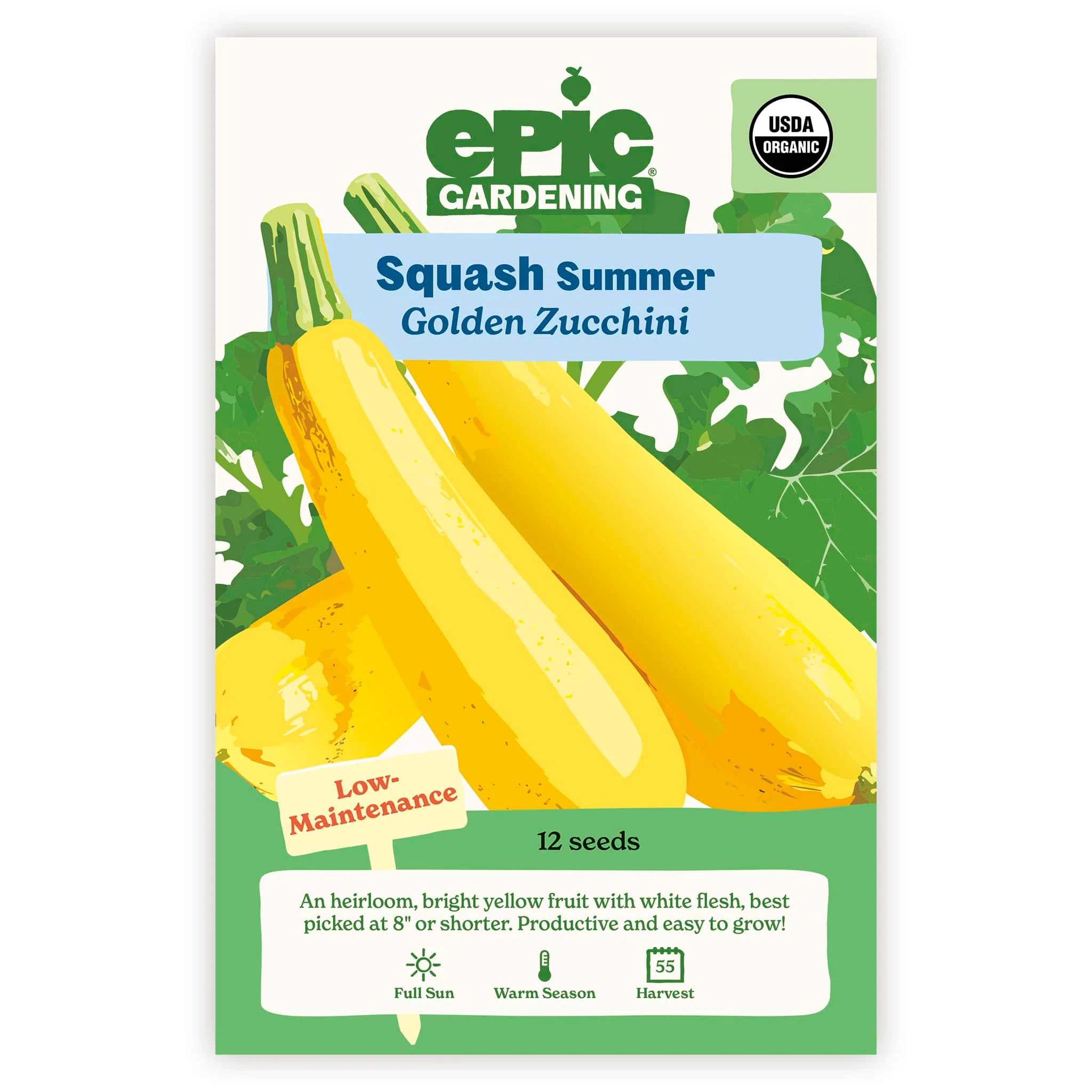 Golden Zucchini Summer Squash - Image 2