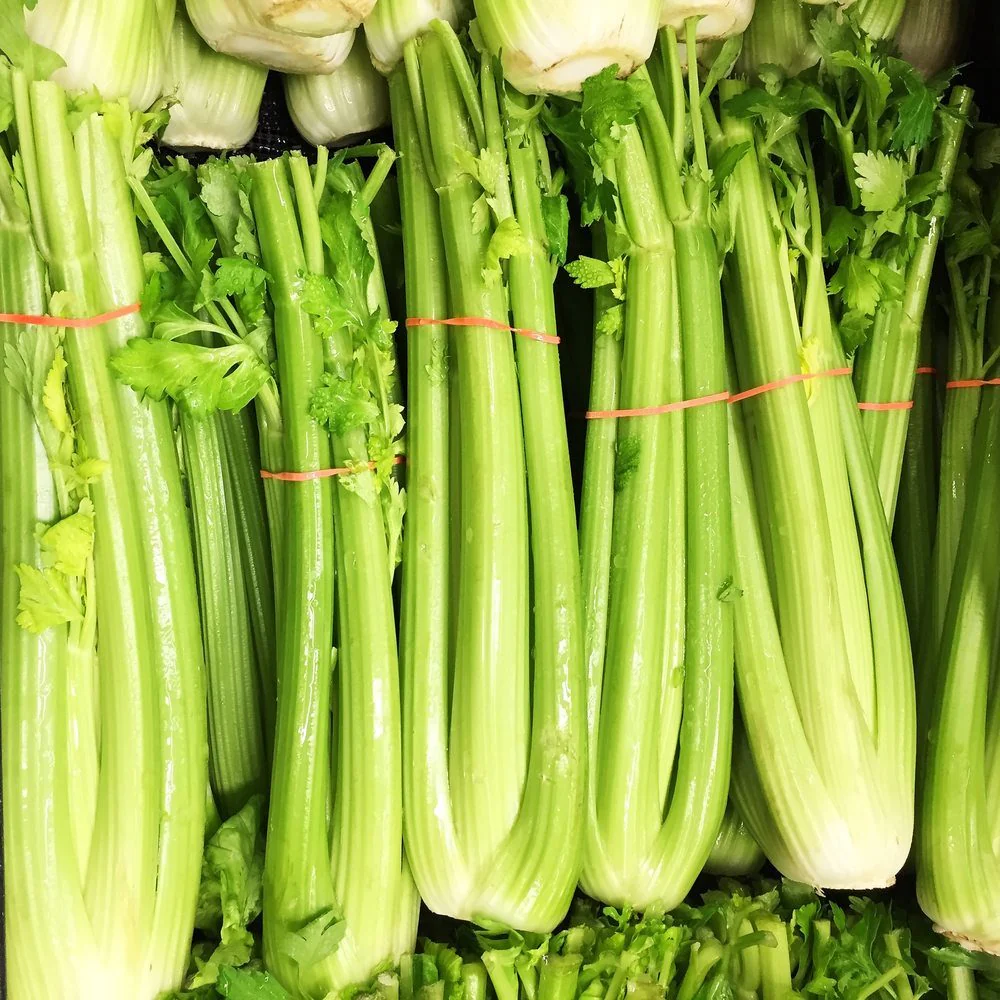 Merengo Celery Seeds - Image 4