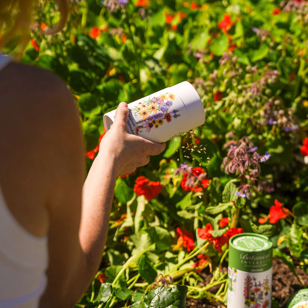 Midwest Prairie Splendor Flower Mix Seed Shaker - Image 4