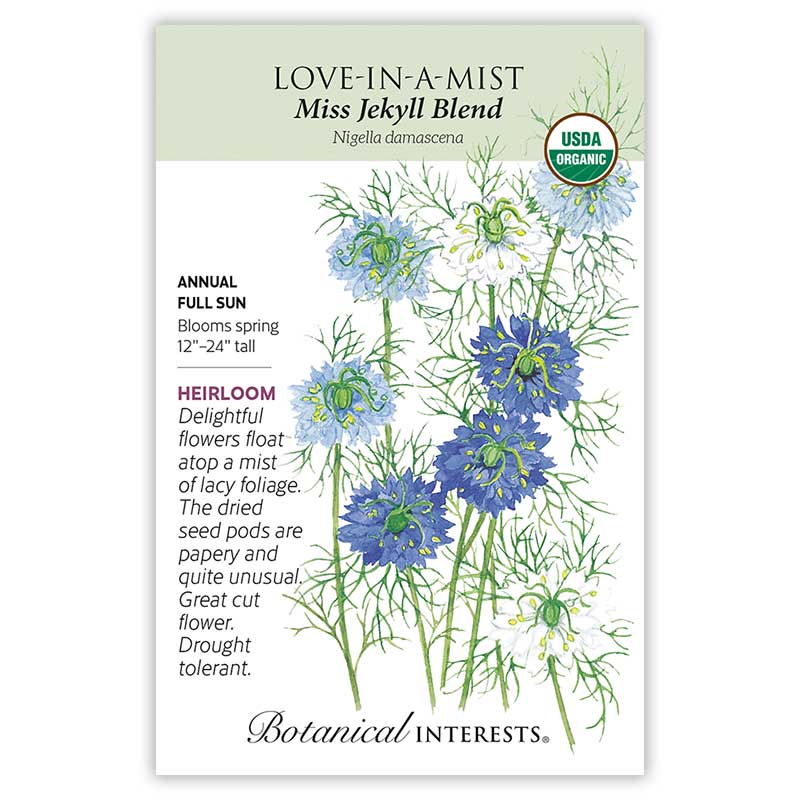 Miss Jekyll Blend Love-In-A-Mist Seeds - Image 3