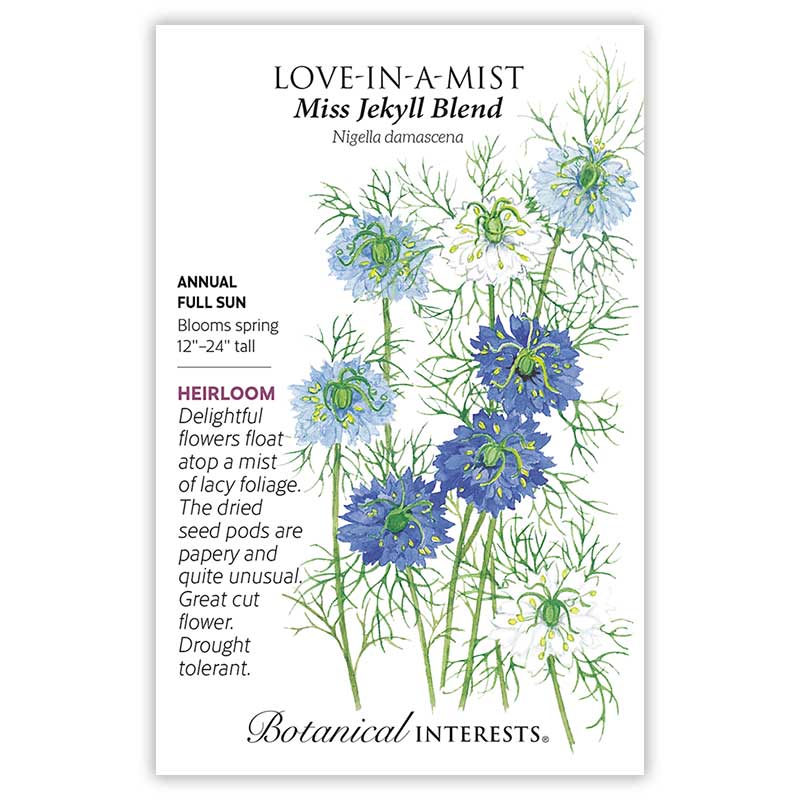 Miss Jekyll Blend Love-In-A-Mist Seeds - Image 4