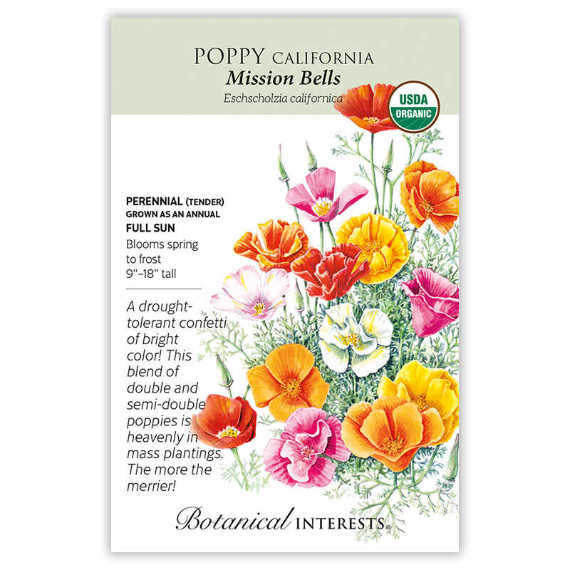 Mission Bells California Poppy Seeds - Image 3