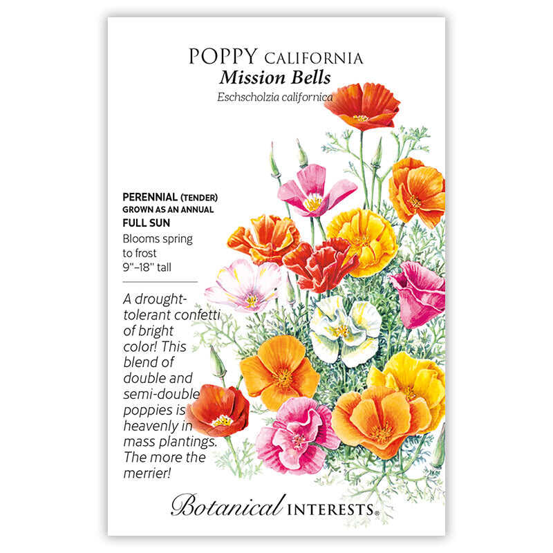 Mission Bells California Poppy Seeds - Image 4