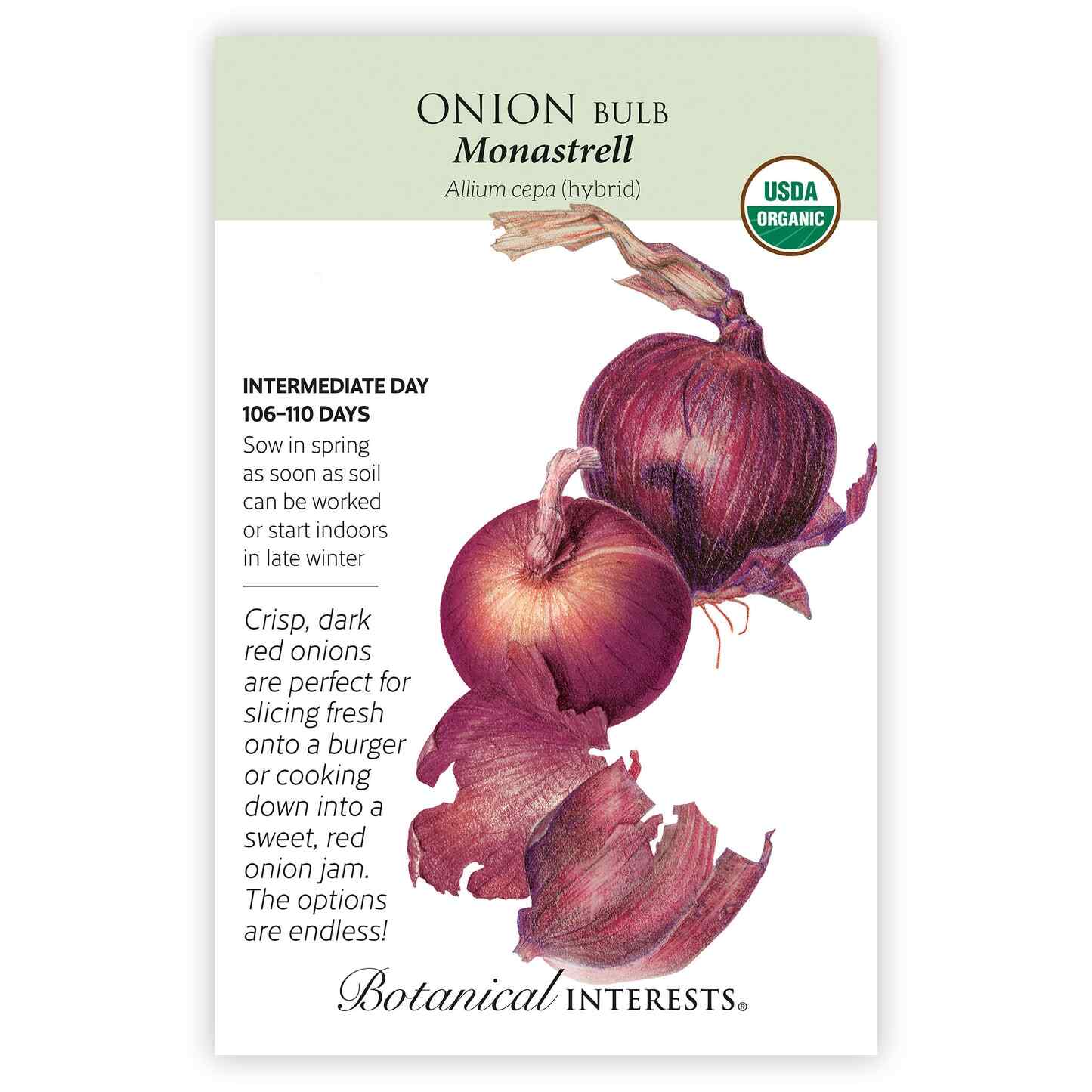 Monastrell Bulb Onion Seeds - Image 3